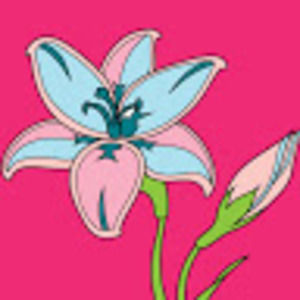 Meet your Posher, Nia